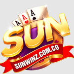 sunwinzcomco Profile Picture