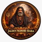 Jagdev Aghori Baba Profile Picture